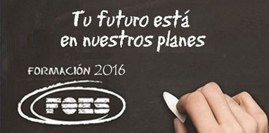Formación FOES 2016