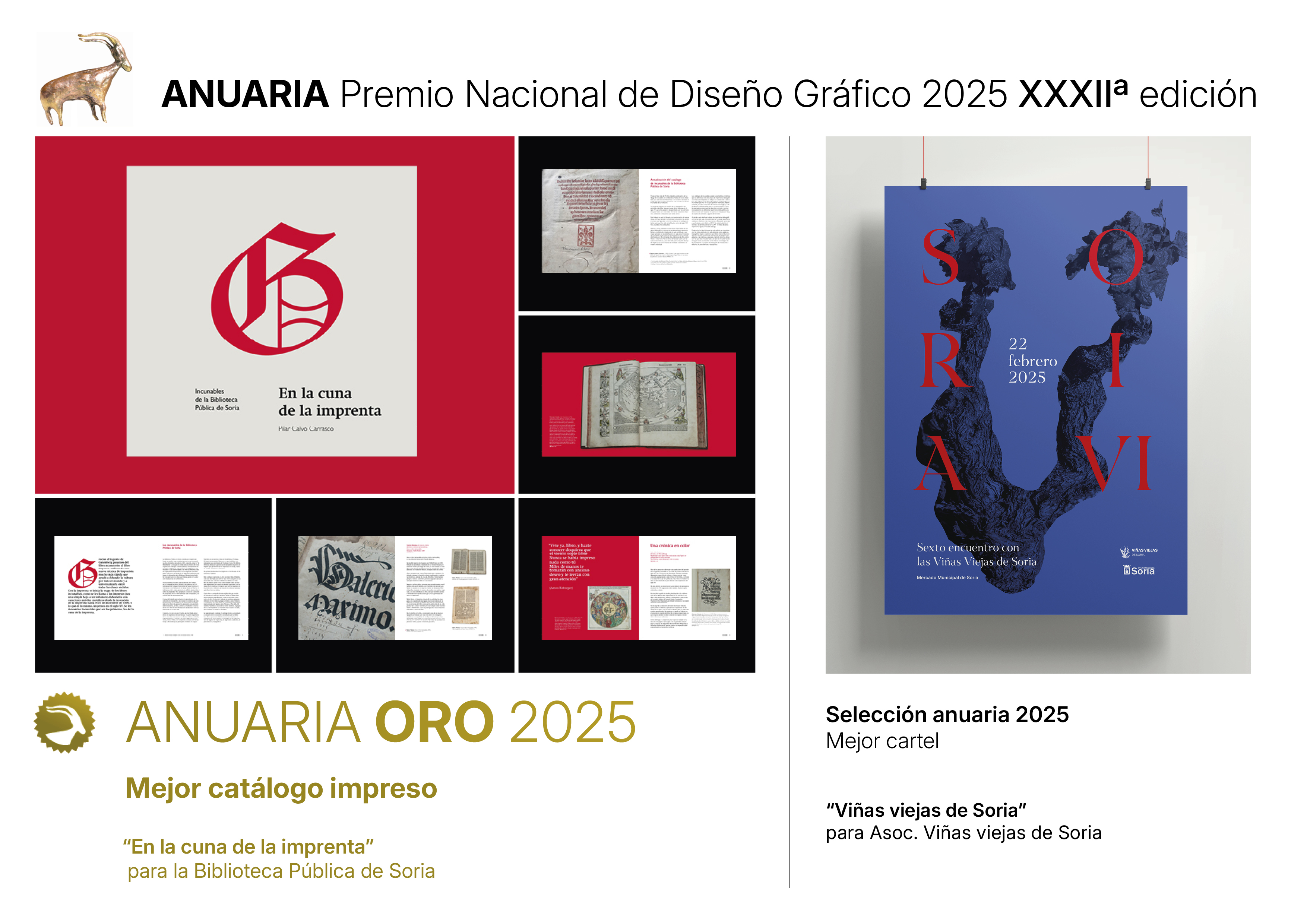 DIS_AlfonsoPerezPlaza_Anuaria2025