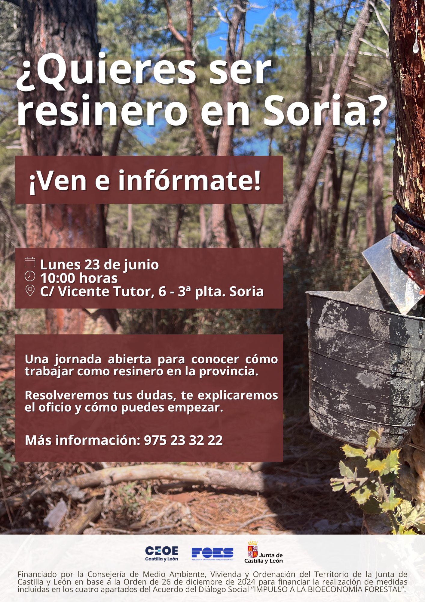 CARTEL-JORNADA-RESINA-2-175636413565141