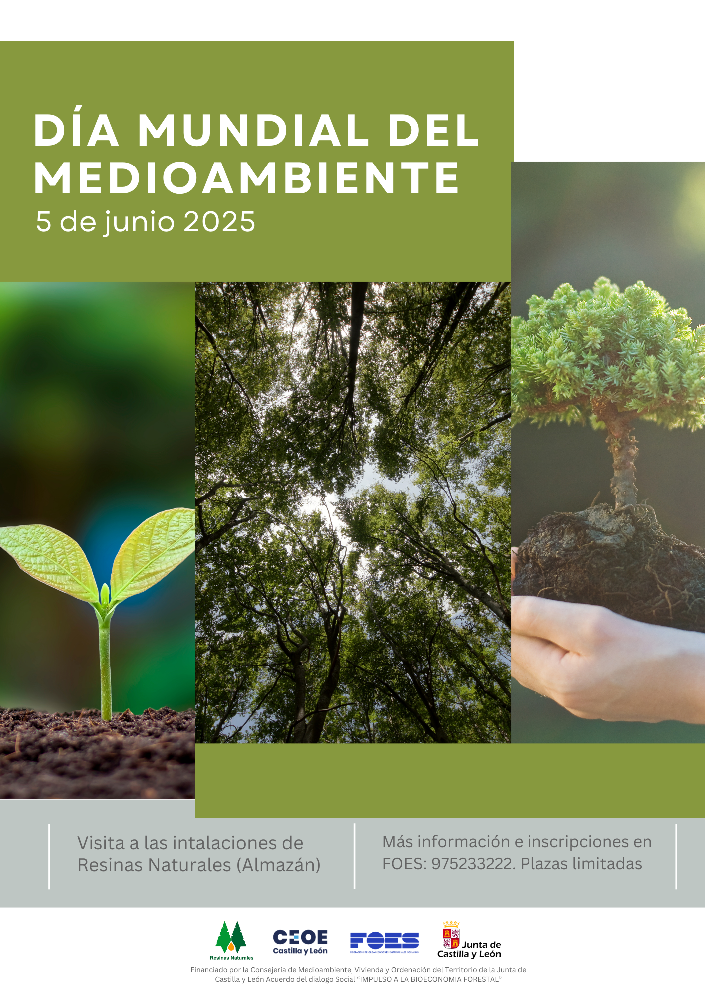 DA-MUNDIAL-DEL-MEDIOAMBIENTE-1-175636446278632
